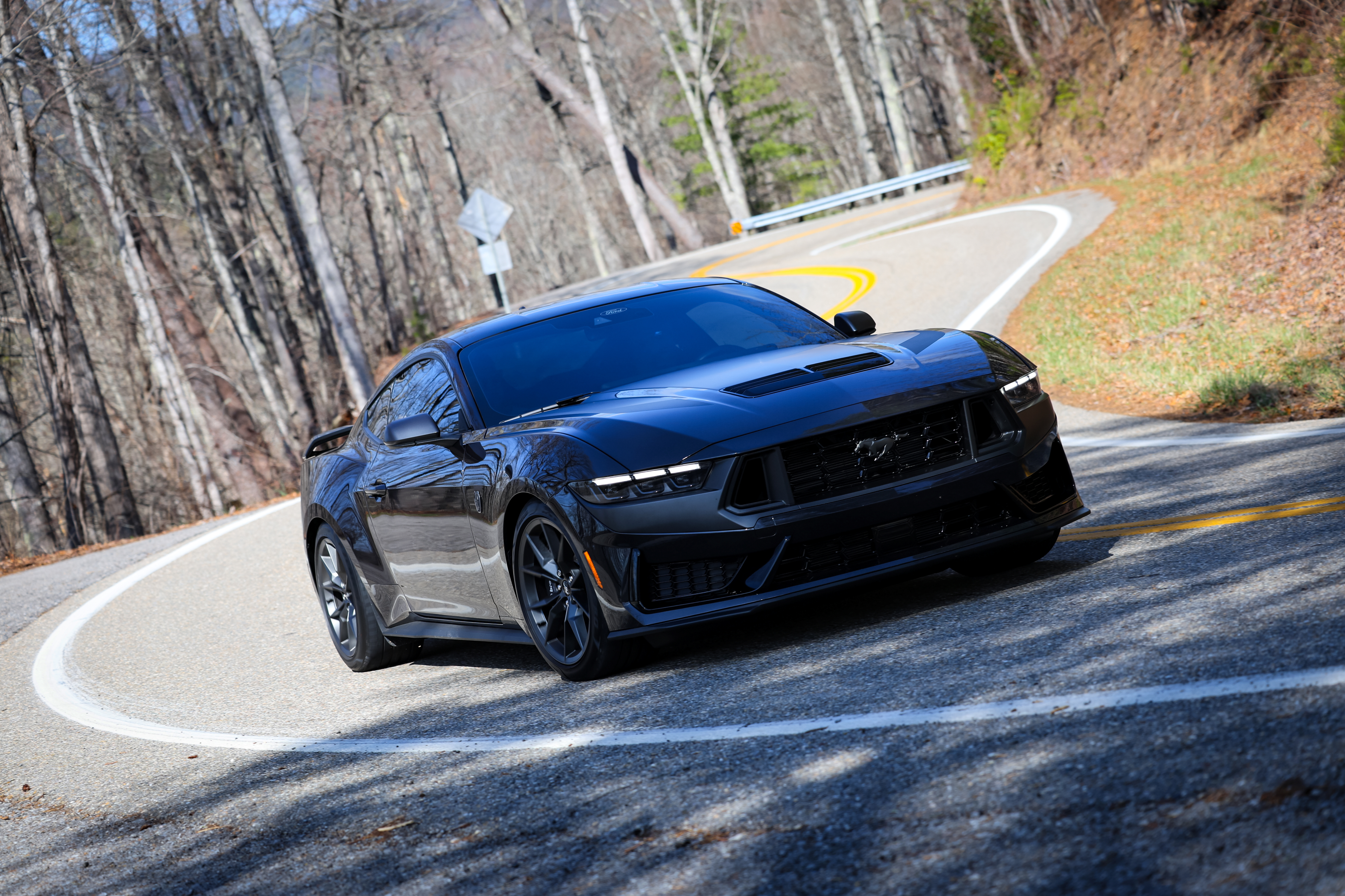 Dark Horse on Tail of the Dragon
