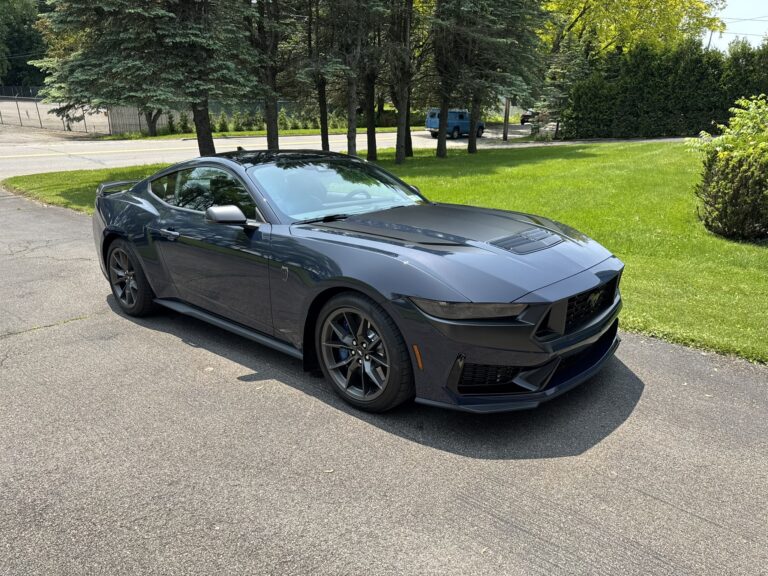 My Dark Horse