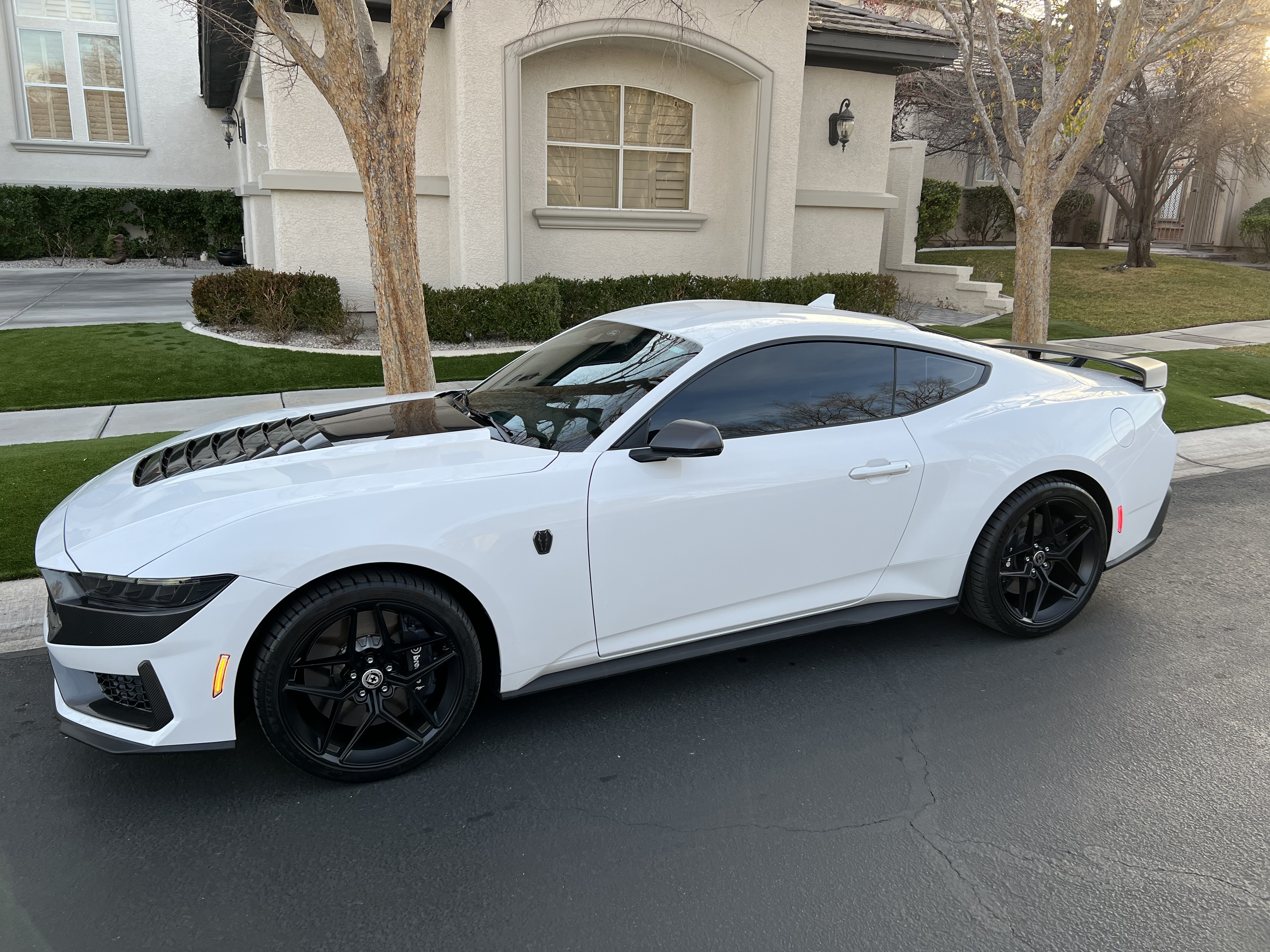 2024 Ford Mustang Dark Horse